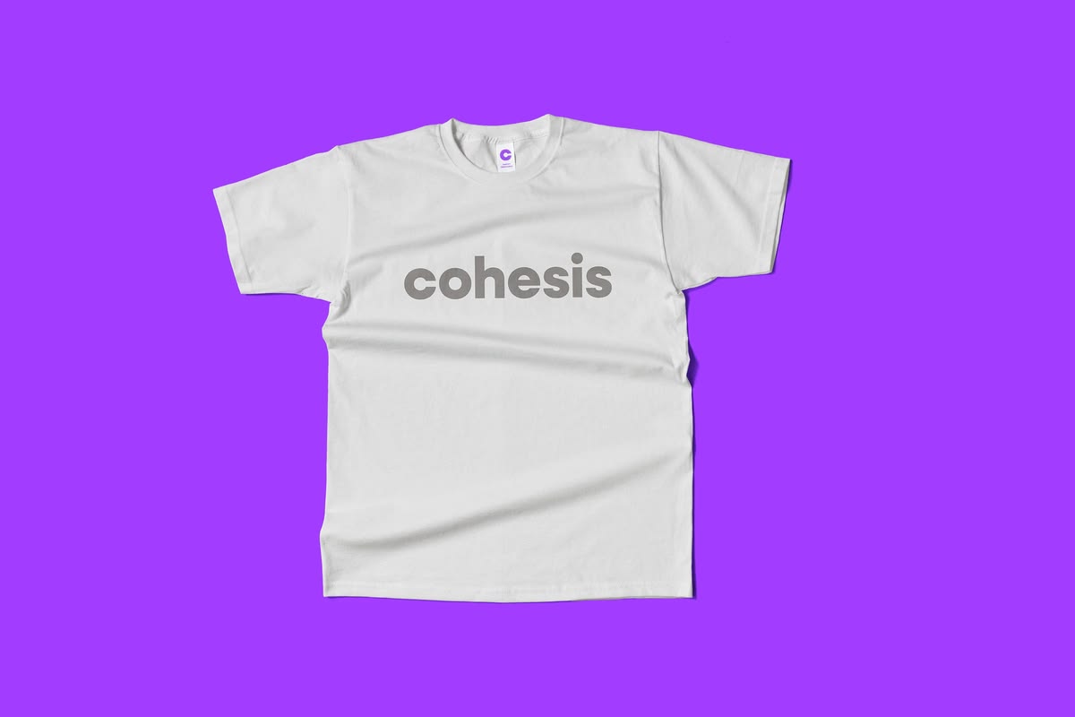 Cohesis, palette et typographie
